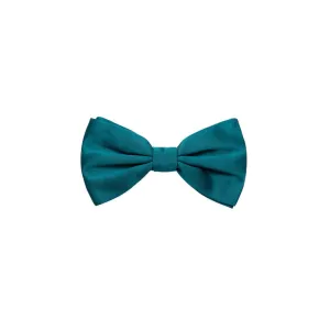 Dolce & Gabbana Silk Ties & Men's Bowty