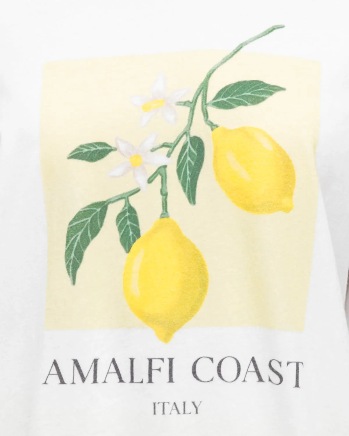 Paper Heart Amalfi Coast Oversized Lemon Vintage T-Shirt - White